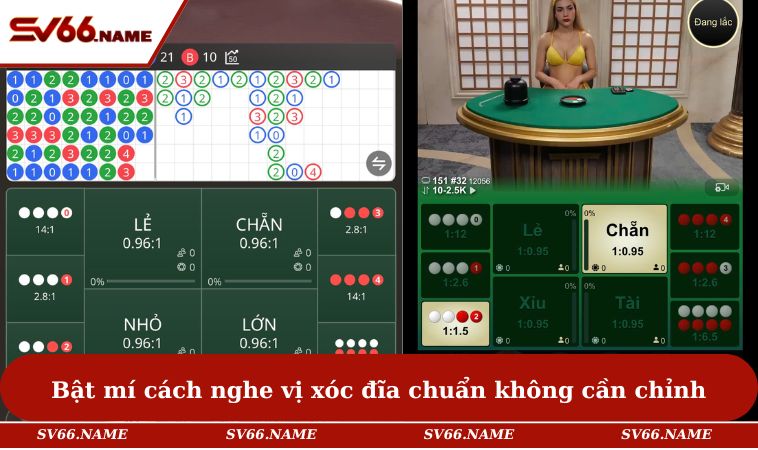 Bật mí cách nghe vị xóc đĩa chuẩn không cần chỉnh