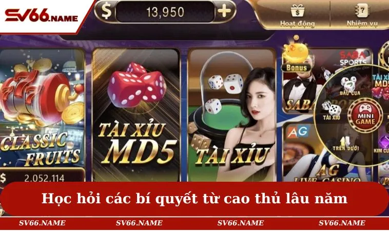 Học hỏi các bí quyết từ cao thủ lâu năm