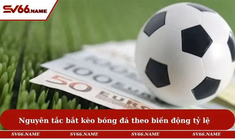 Nguyên tắc bắt kèo bóng đá theo biến động tỷ lệ