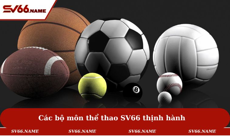 Các bộ môn thể thao SV66 thịnh hành